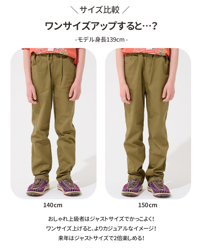 楽天市場】【ブランド直営】 綿 ストレッチ マイニチ レギュラーパンツ