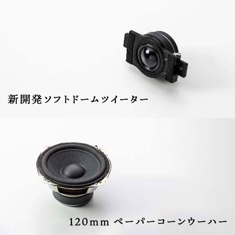 DENON DCT-R10 / Eiju スピーカーセット DENON DCT-R10 / Eiju