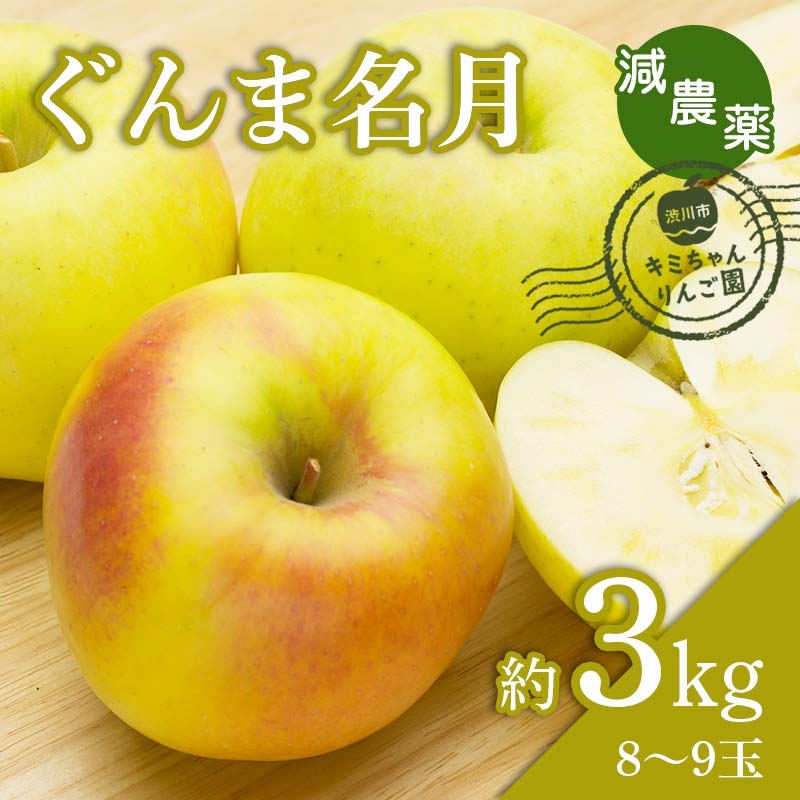 楽天市場】【ふるさと納税】 2023年秋発送 減農薬 りんご ぐんま名月