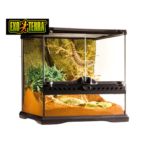楽天市場】GEX グラステラリウム 3030 爬虫類 飼育 ケージ ガラス