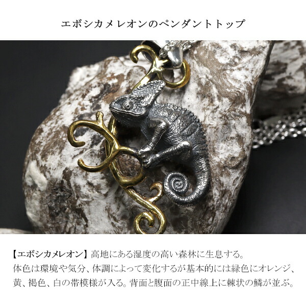 楽天市場】Cold I's エボシカメレオン ペンダントトップ ネックレス