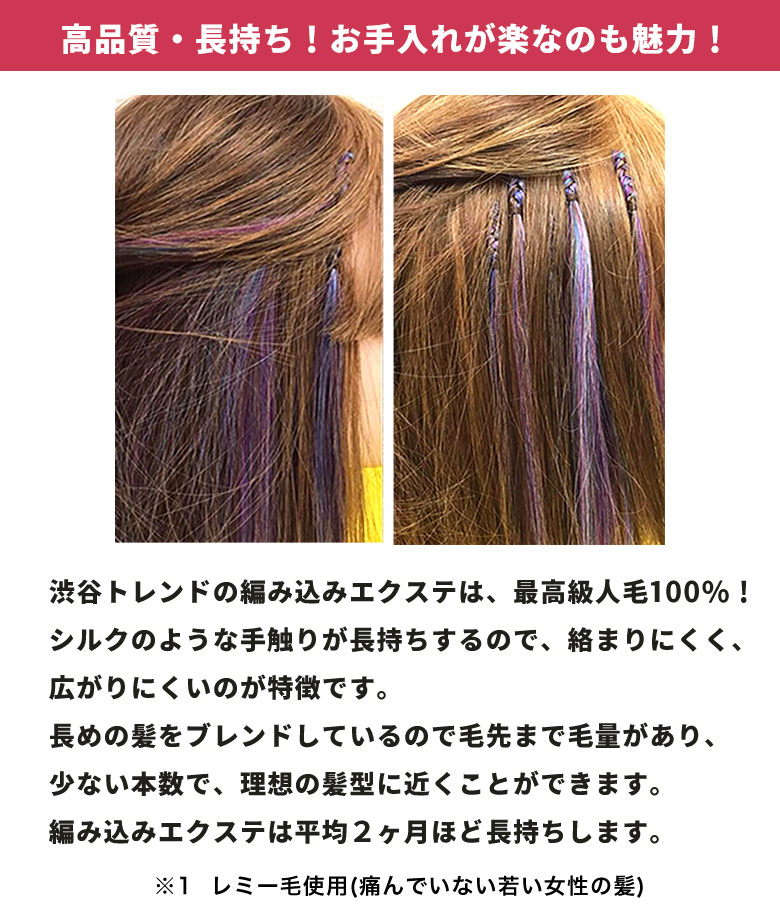 楽天市場】編込みエクステ 67cm100g ダークカラー PLATINUM 腰まで
