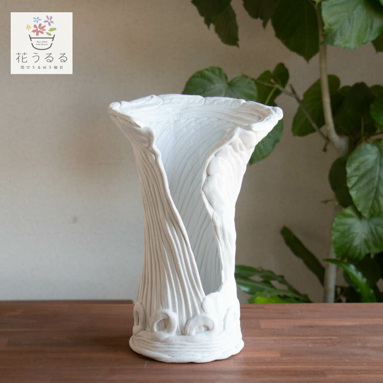 楽天市場】綱木紋(つなきもん) 鉢【Sスリット・スモール