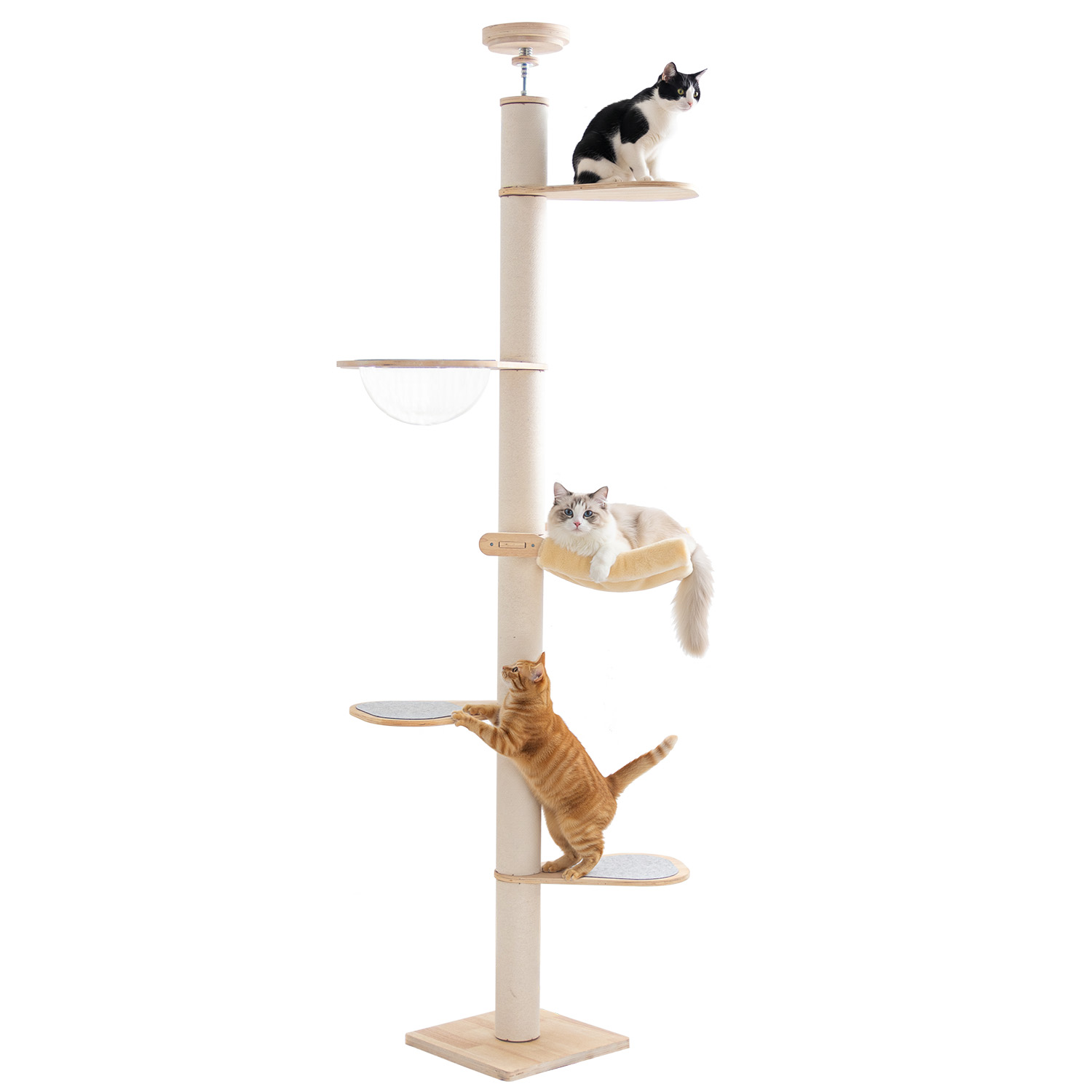 楽天市場】【楽天1位・板厚み15mm】6段タイプ・あす楽 キャットタワー