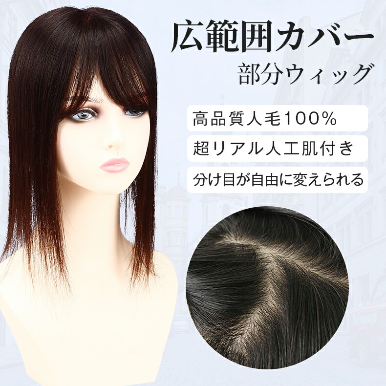楽天市場】【試着可能 返品OK】 部分ウィッグ 広範囲 12×13cm 総手植え
