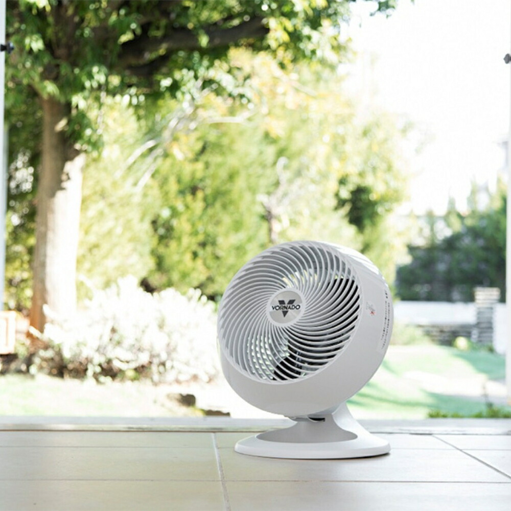 楽天市場】【2025 年間ベストショップ受賞】ボルネード