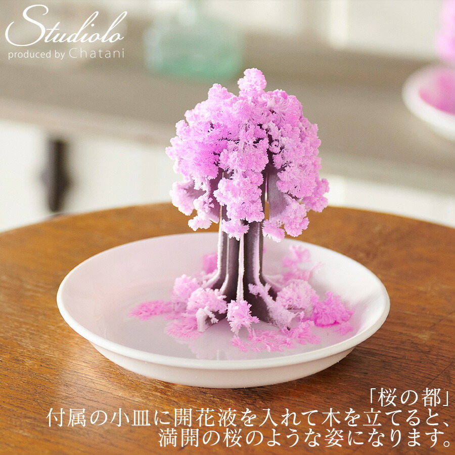 楽天市場】クーポン発行中 動画あり 桜の都 オブジェ 置物 さくら 桜