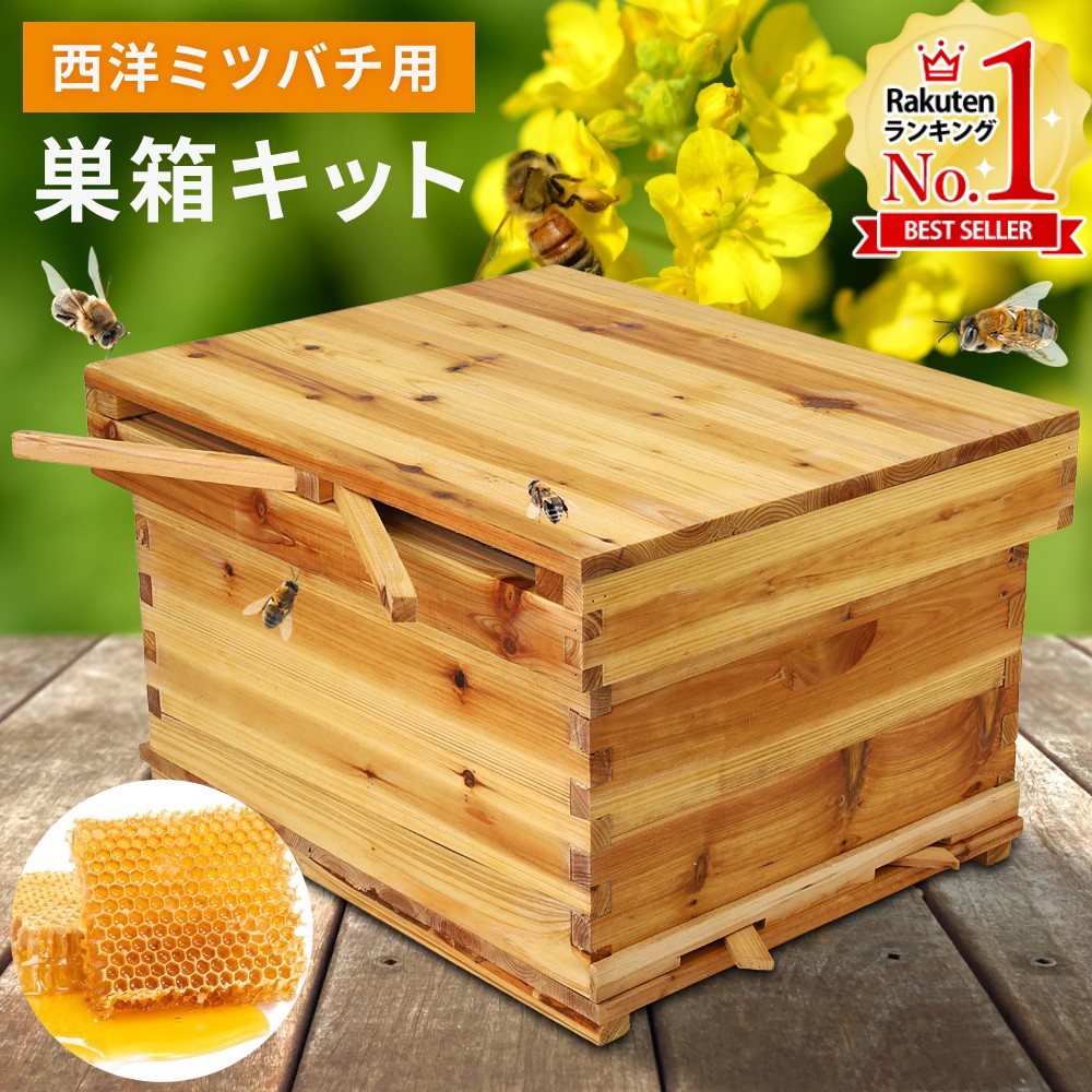 楽天市場】【半額&5%OFFクーポン配布4日20時〜 利用条件あり】 巣箱