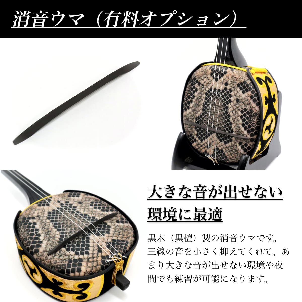 楽天市場】三線 沖縄三線セット 初心者用デザイン三線スタンダード