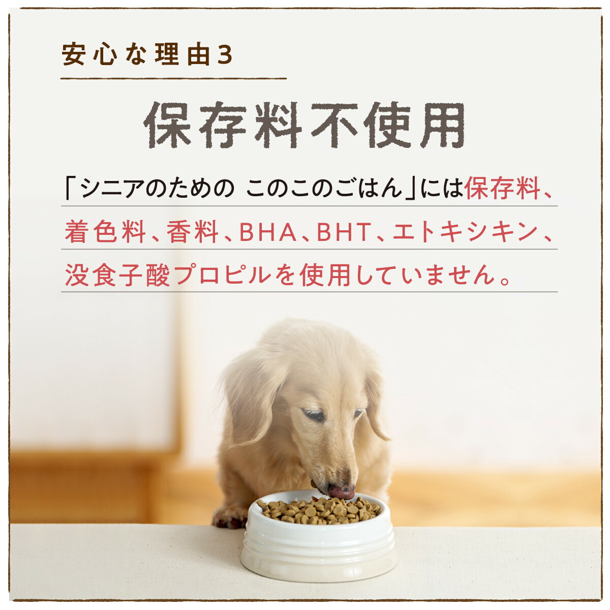 楽天市場】【 公式 】 シニアのための このこのごはん コノコトトモニ