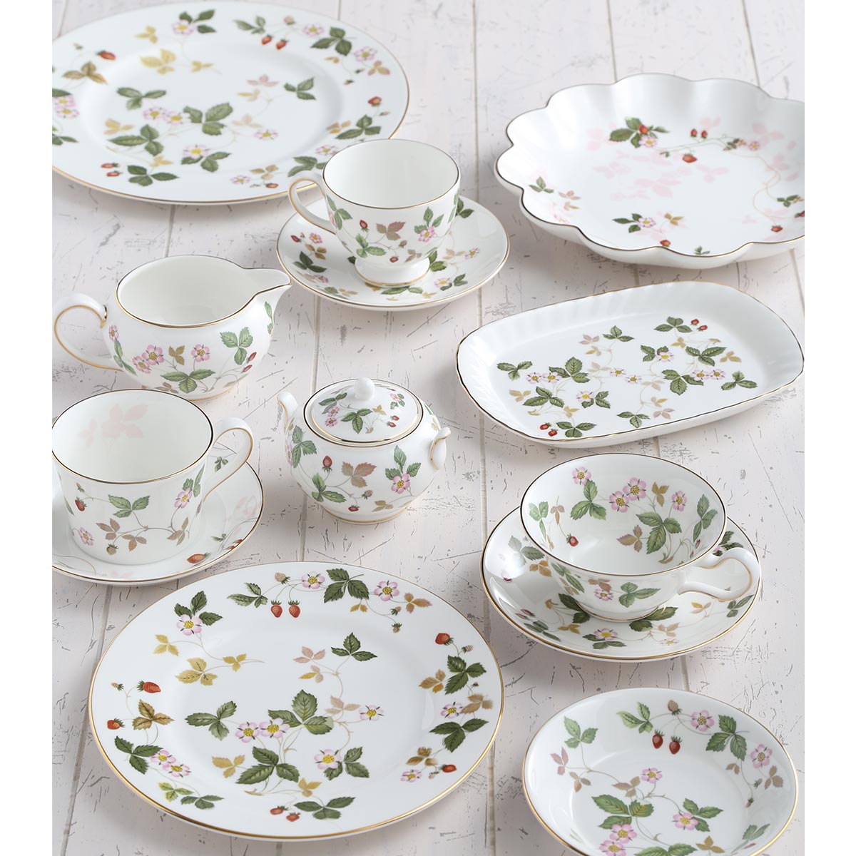 楽天市場】【先着クーポン】 ウェッジウッド (Wedgwood) ワイルド