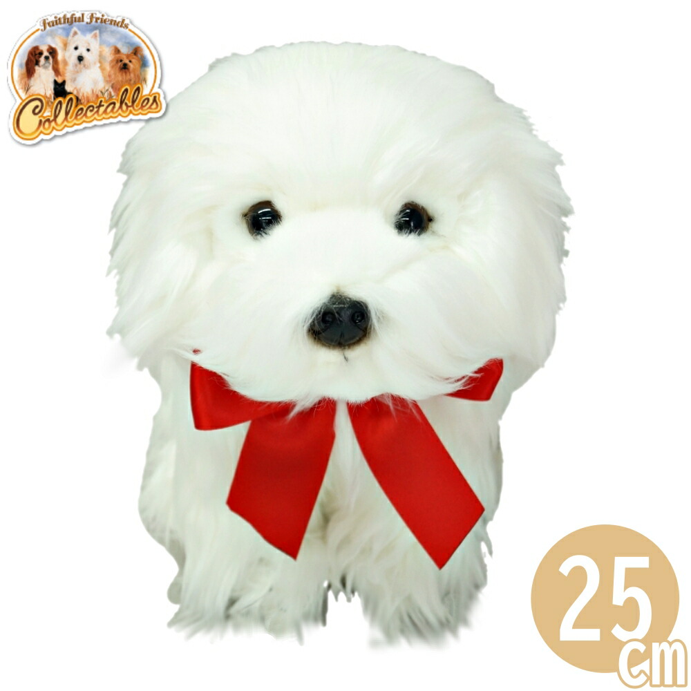 楽天市場】ぬいぐるみ 犬 白 マルチーズ リアル いぬ イヌ かわいい