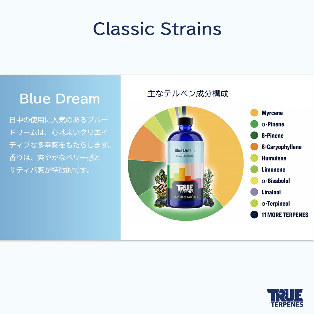 ttc-bluedream-02.jpg