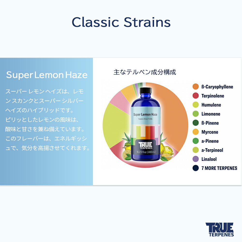 楽天市場】＼即日発送／ テルペン アメリカ TRUE TERPENES