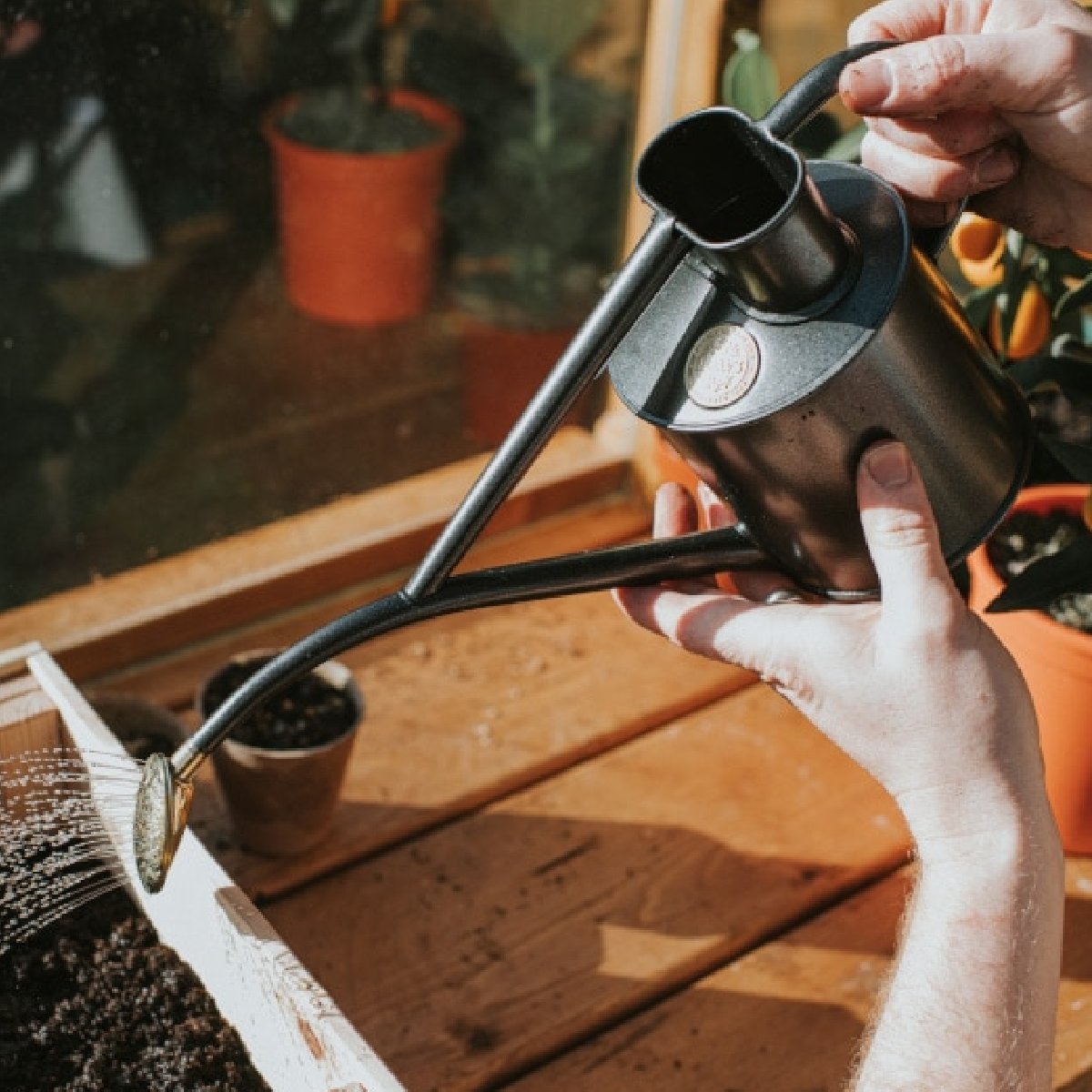 楽天市場】【HAWS ホーズ】Metal Indoor 1L 9色 グリーン サルビア