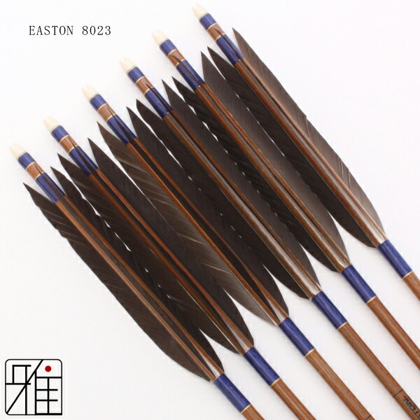 楽天市場】弓道 矢 イーストン カーボン矢 6本組黒手羽 8023シャフト矧
