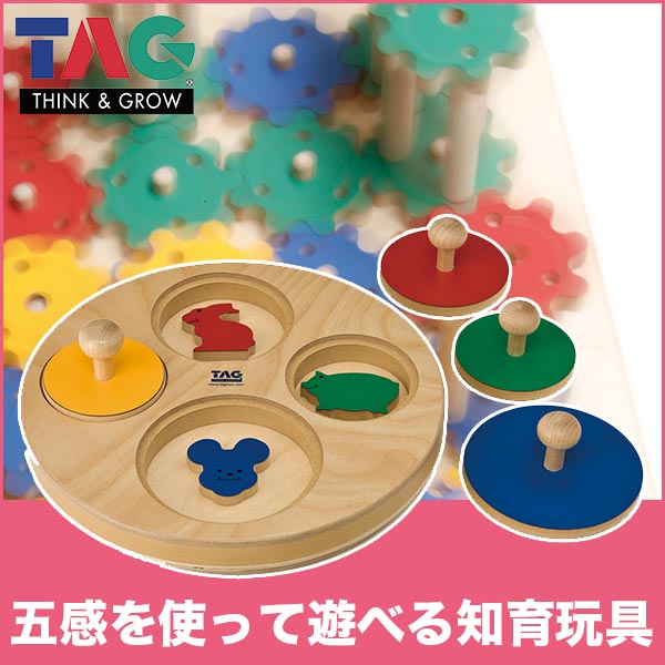 楽天市場】TAG タグ 回転させて記憶しよう TGMSC7 送料無料 おもちゃ