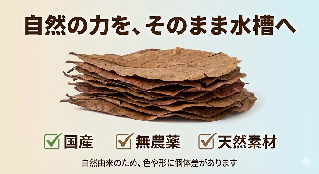 楽天市場】マジックリーフ 10枚｜ブラックウォーターで水質安定＆産卵