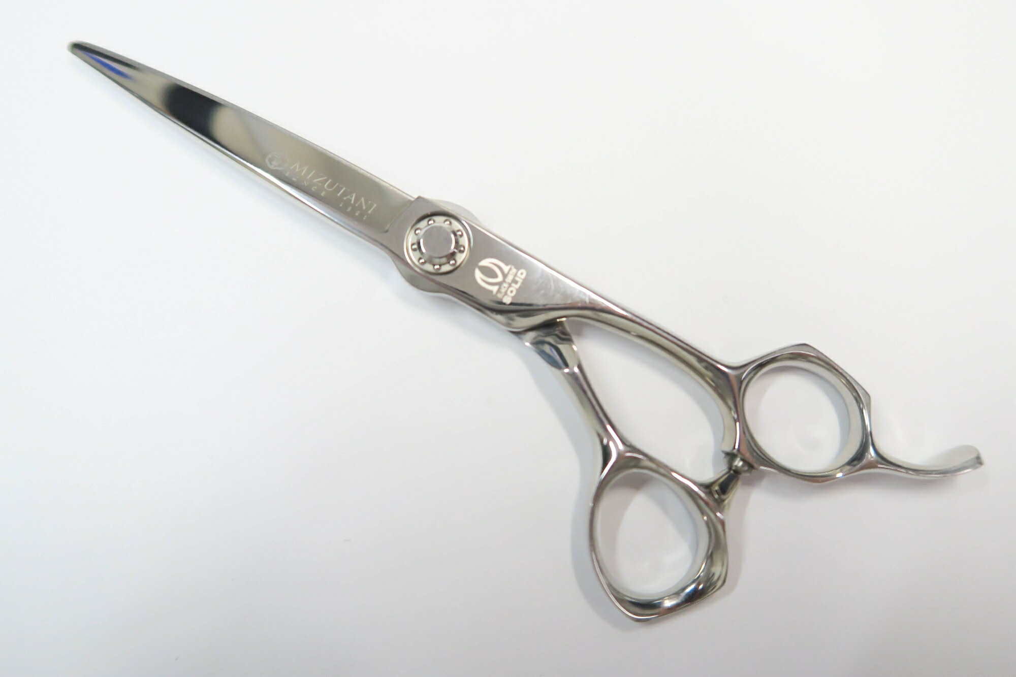 楽天市場】ミズタニシザーズの通販