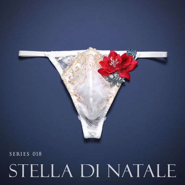 楽天市場】【メール便(5)】【送料無料】 HIMICO 煌びやかな幸福に満ち