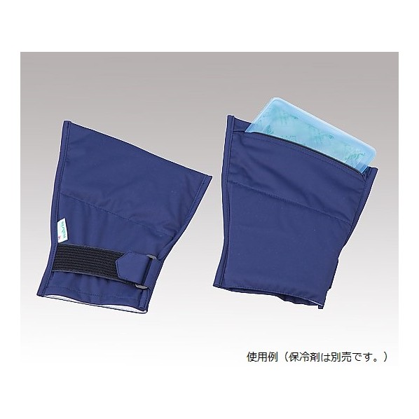 楽天市場】フローズングローブの通販