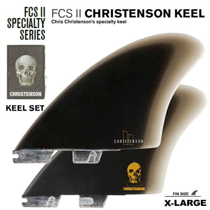 楽天市場】FCS2 ツインフィン エフシーエス2フィン 送料無料
