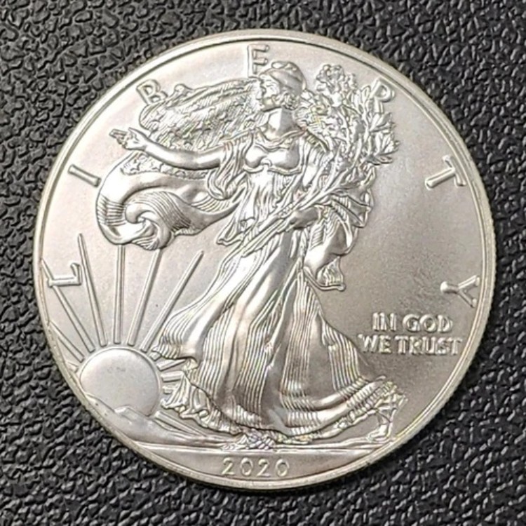 楽天市場】ウォーキングリバティの通販