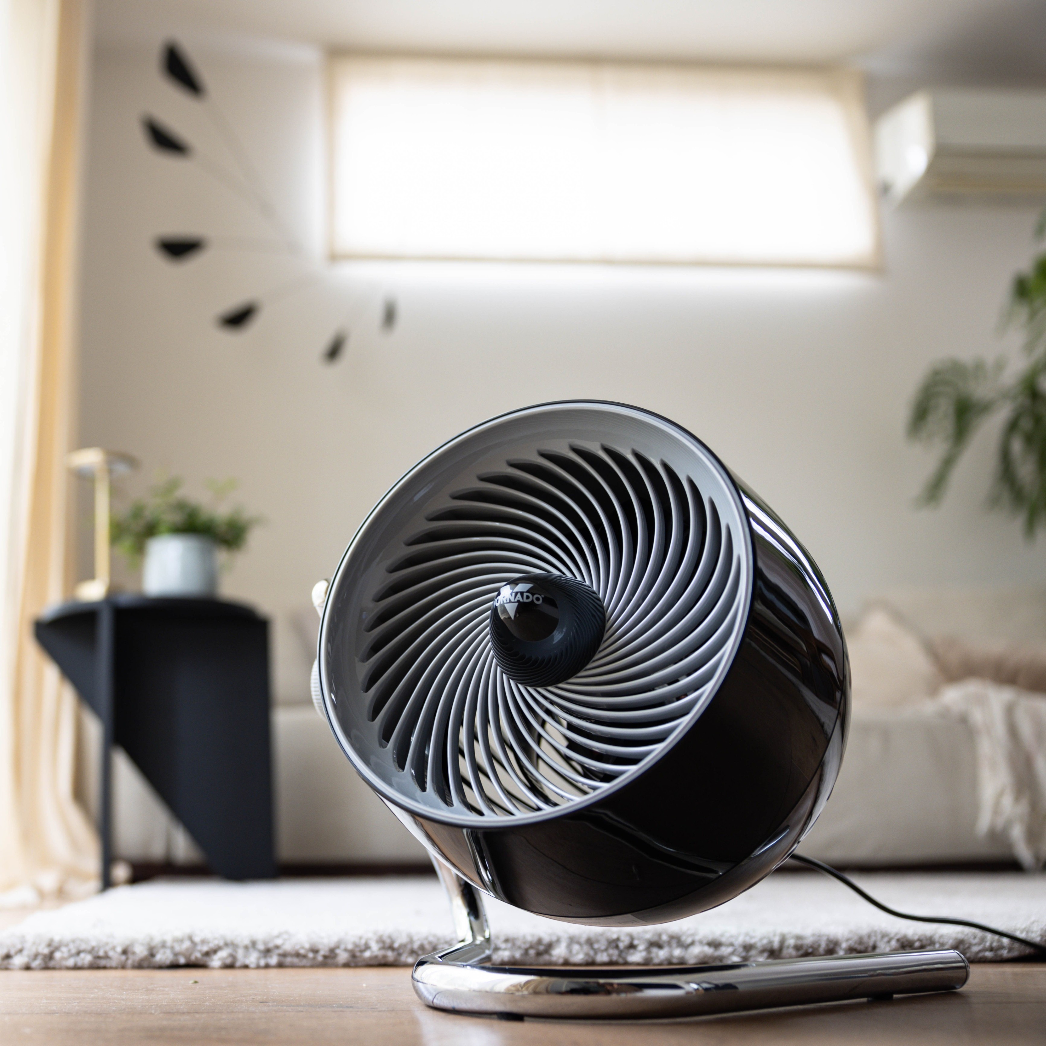 楽天市場】＼期間限定ポイント10倍☆要エントリー／【公式