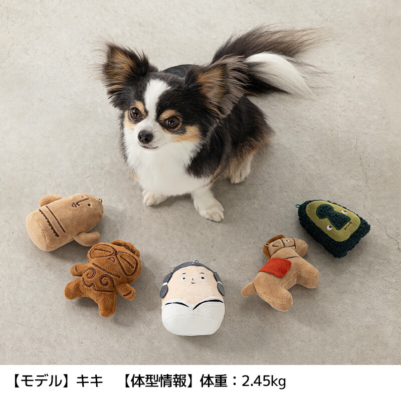 サニーレオパルドさん専用 初代オオサワ ナチュラル so-572_main.jpg