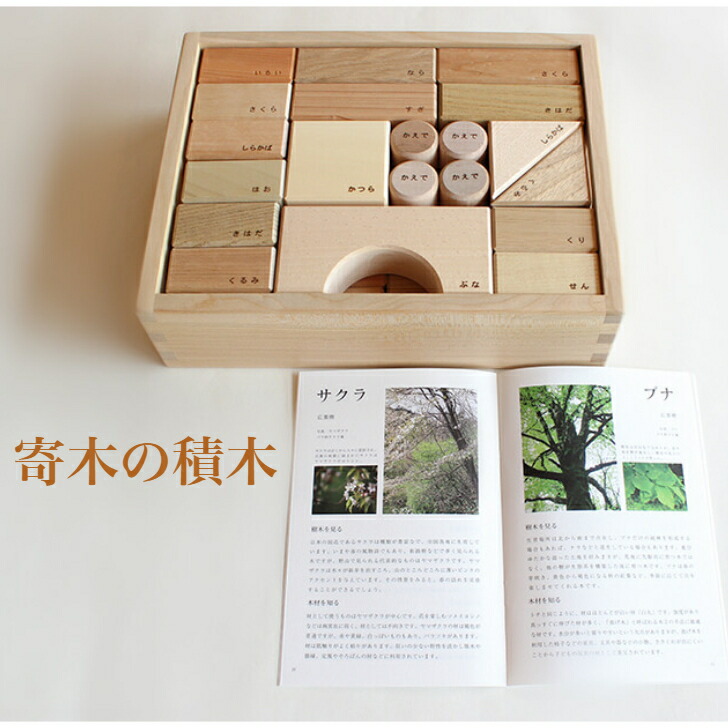 楽天市場】寄木の積木（木箱入り）オークヴィレッジ Japan オーク