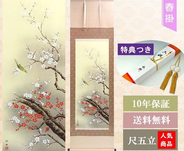 楽天市場】掛軸 掛け軸 春用 紅白梅に鶯 田村竹世 尺五立 約横54.5cm