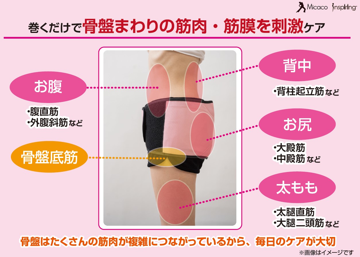 楽天市場】【公式】骨盤ストレッチエアーベルト 骨盤リセット 骨盤