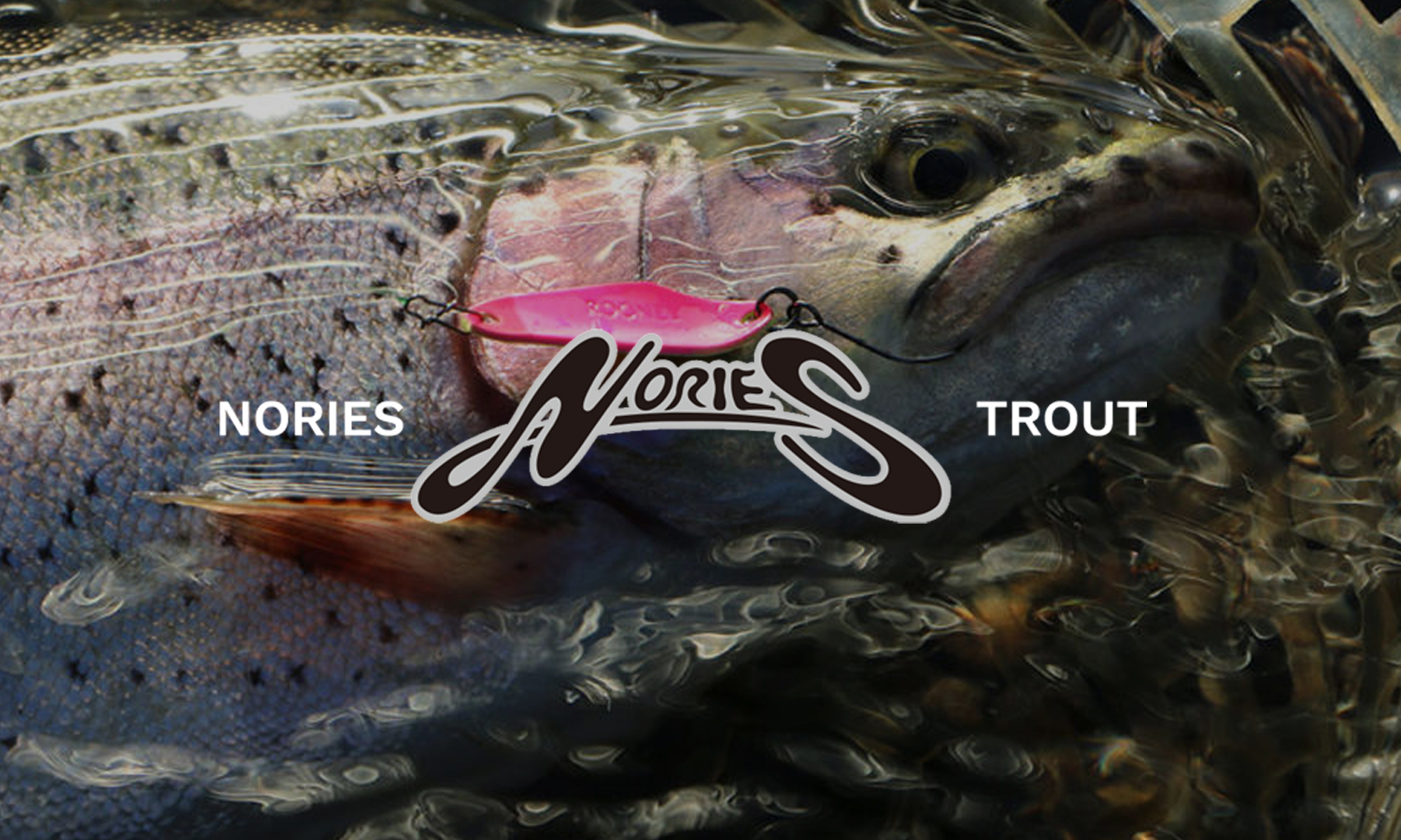 PRODUCTS | trout nories