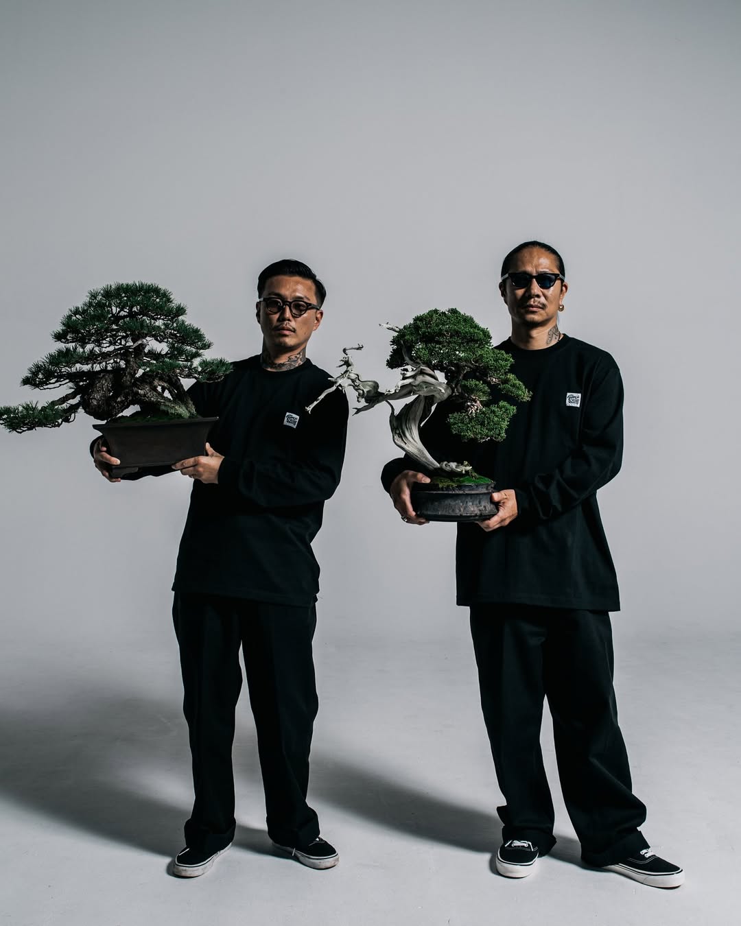 Timc Inc.Collaboration