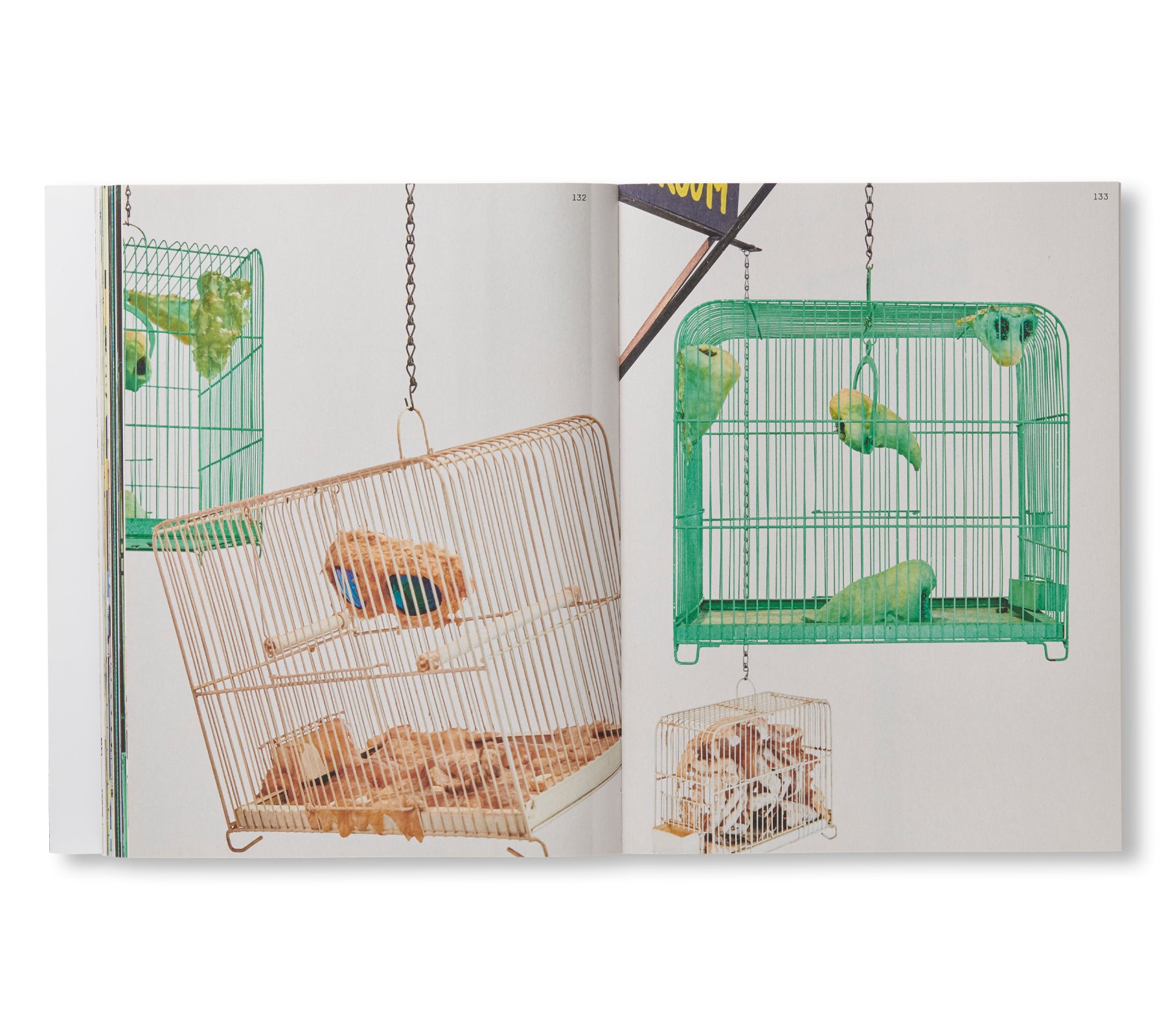 TETSUMI KUDO: RETROSPECTIVE by Tetsumi Kudo – twelvebooks