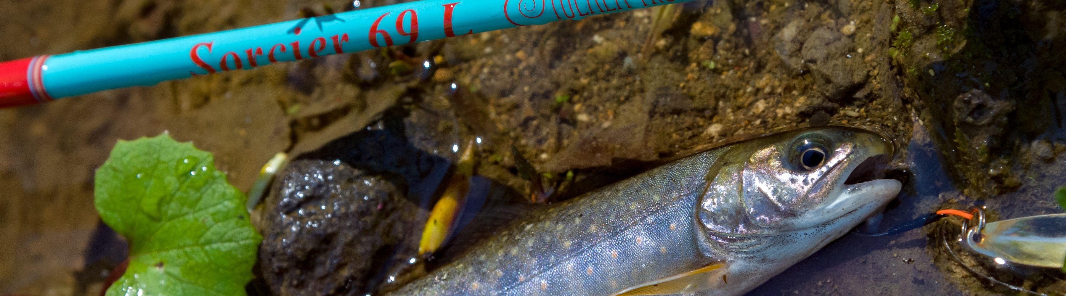 TULALA | Ford every stream | » Sorcier 69 L