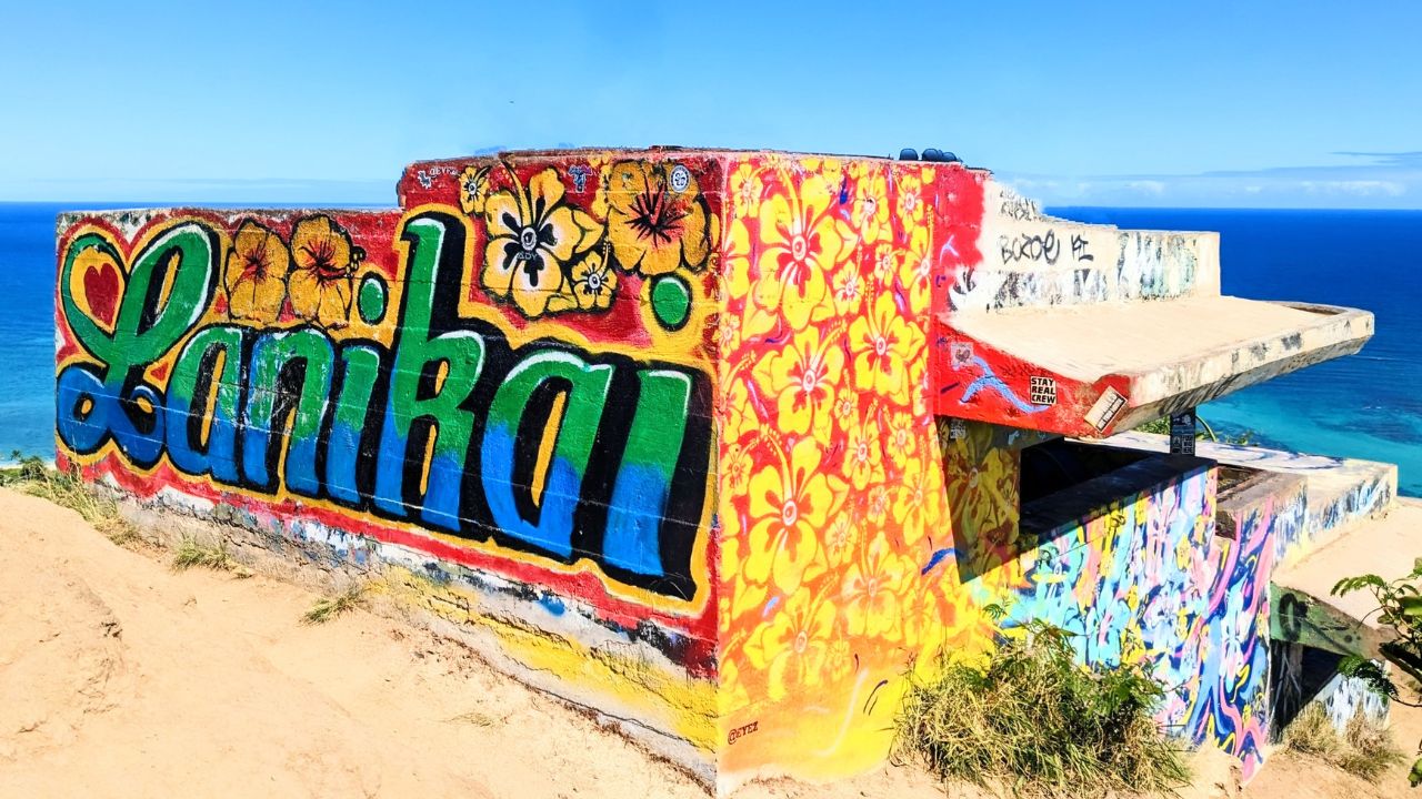 ラニカイピルボックス | Waikiki Turtle Trolley | ワイキキ タートル