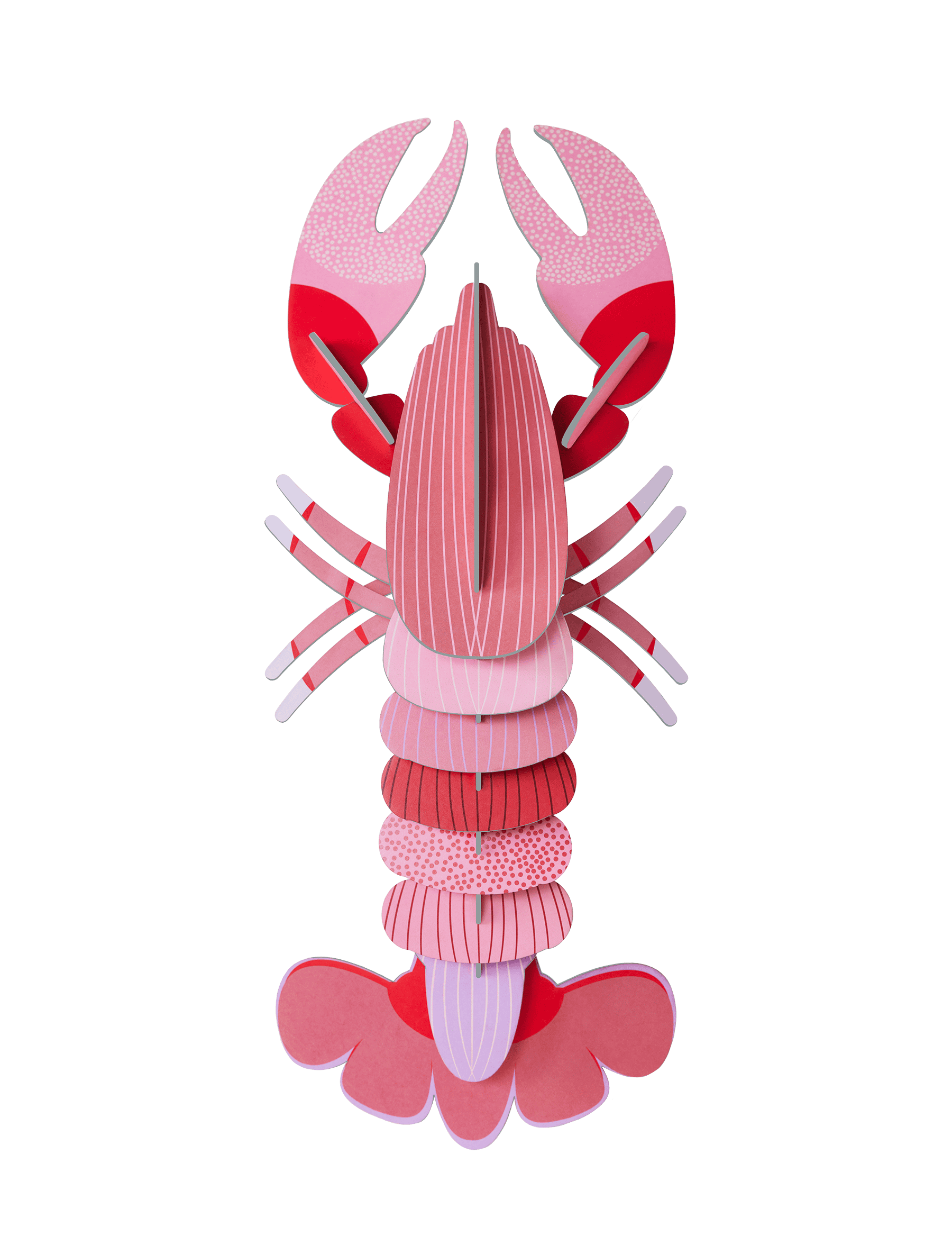 Deluxe Pink Lobster - Studio ROOF