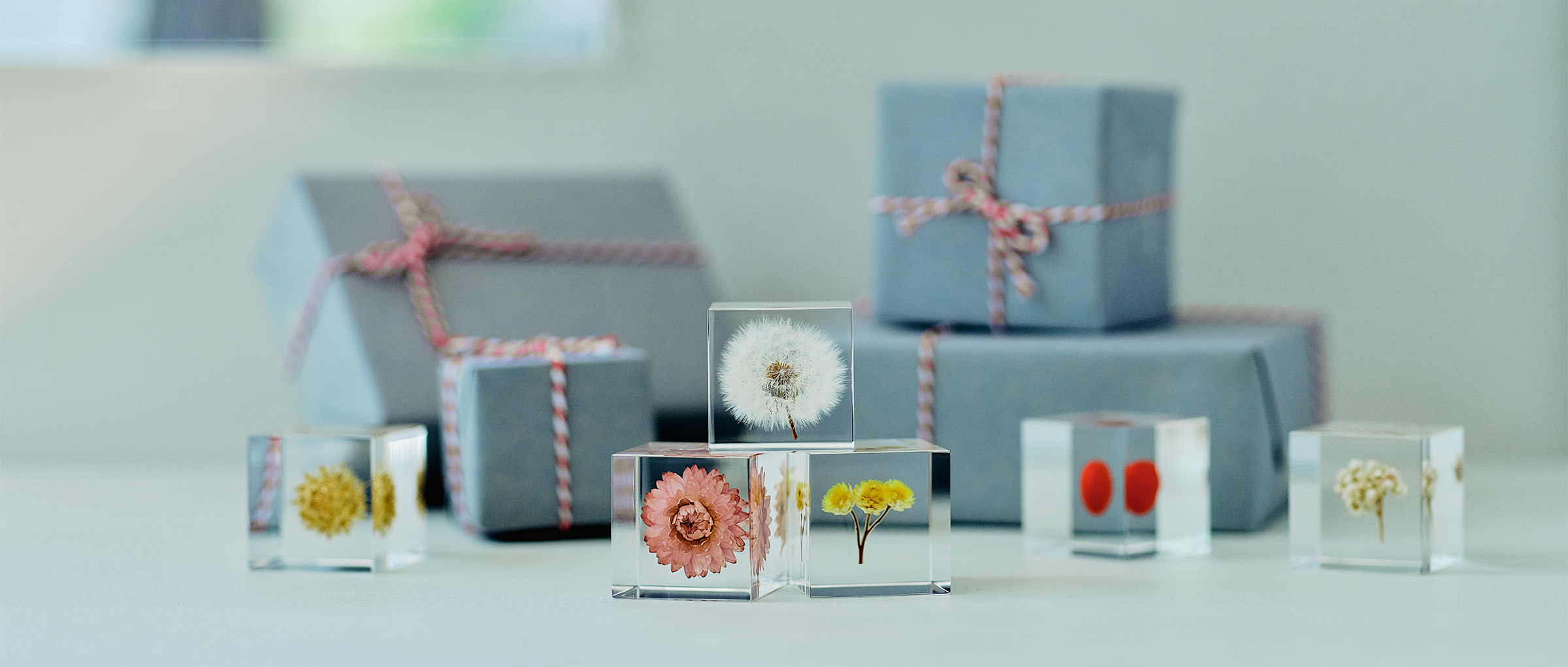 Sola cube | ウサギノネドコ