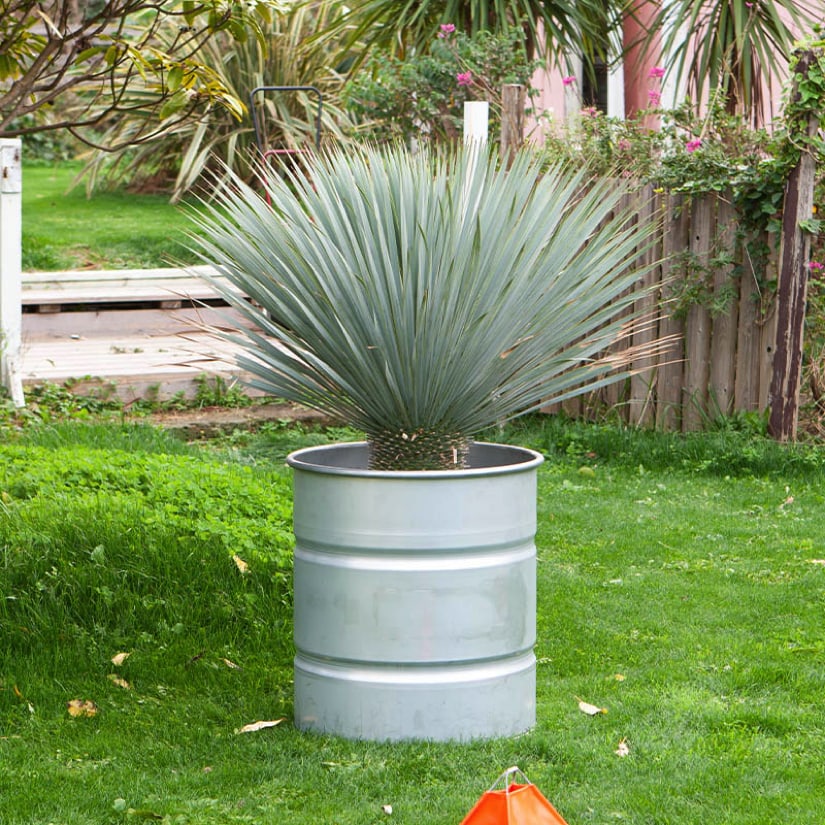 ダルトン DULTON 鉢カバー ガルバナイズド タンク L 13号鉢目安