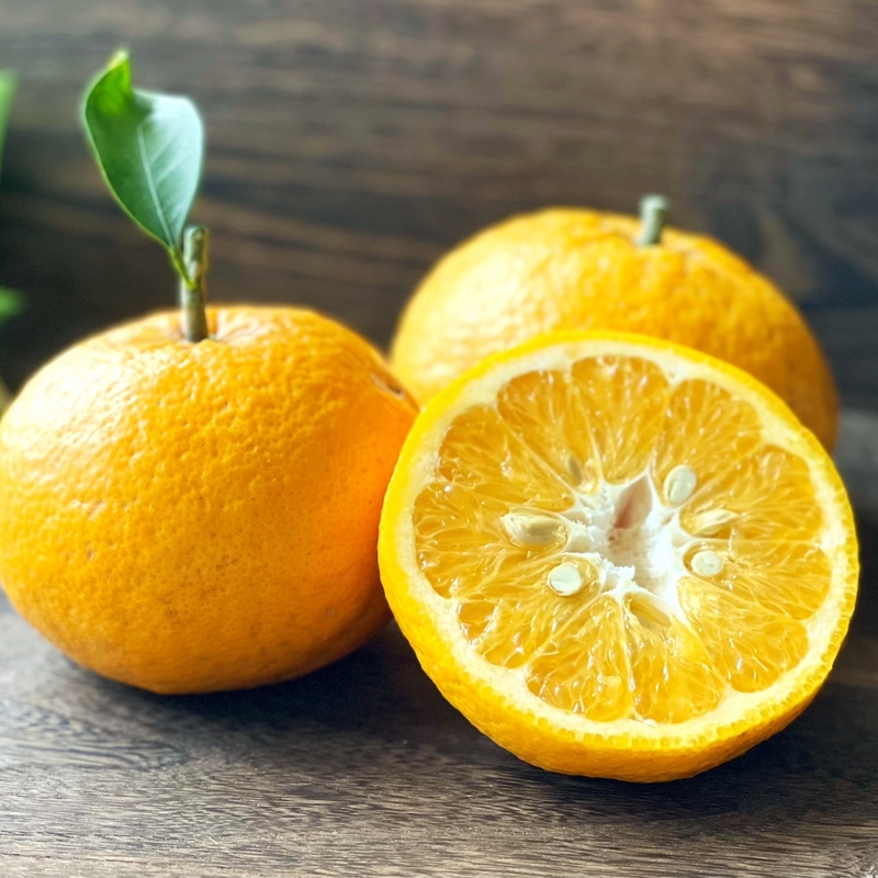 夏みかんとは？味の特徴や産地、おいしい食べ方についても解説