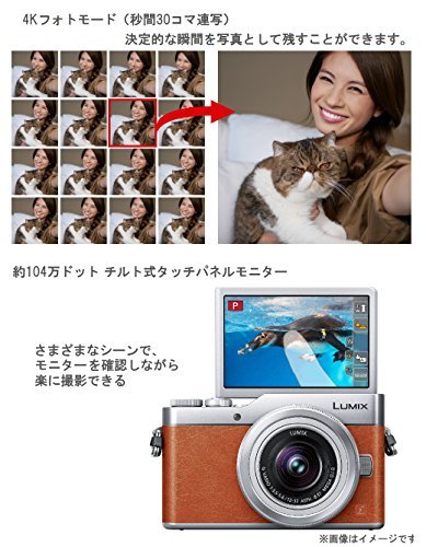 Panasonic MirrorLess Digital Camera LUMIX GF9 Double Zoom Lens Kit