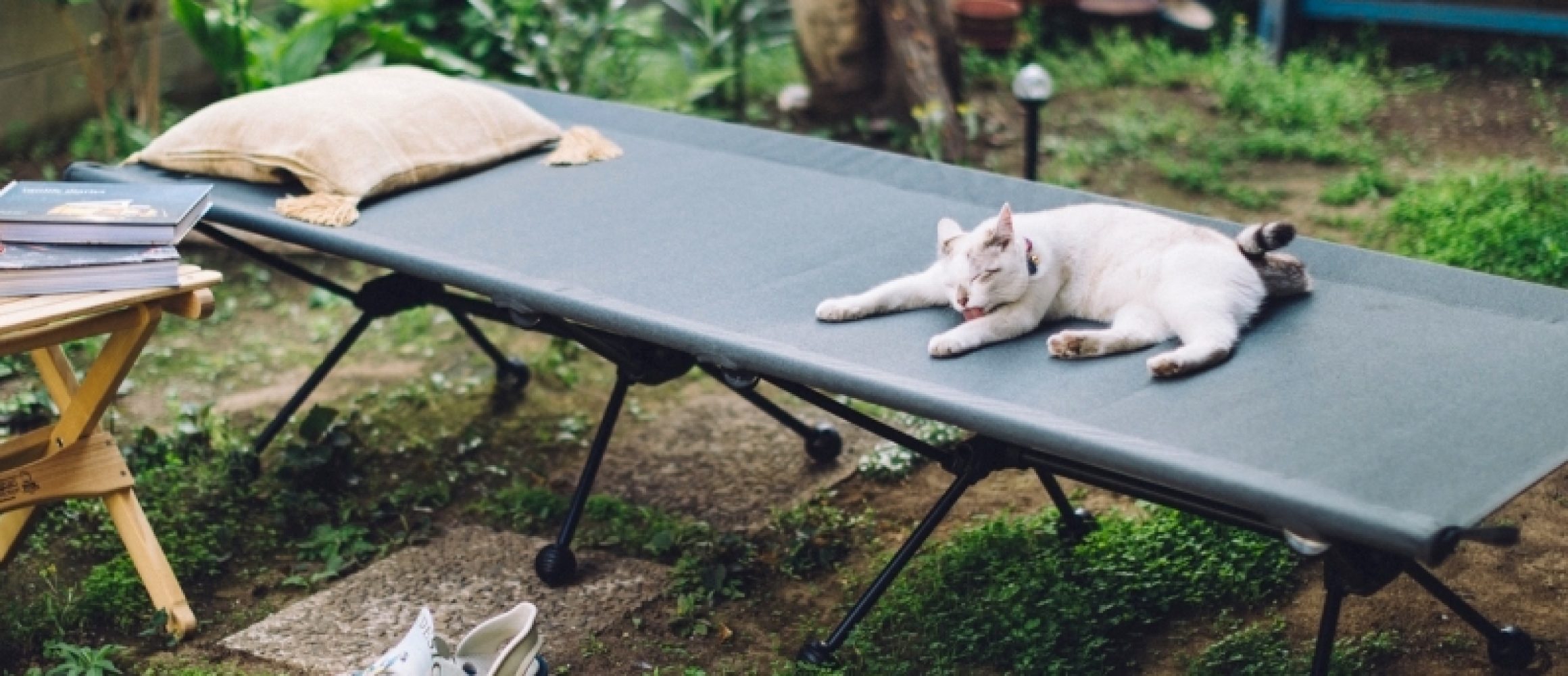 ogawaの新作ワイドコットって実際どうなの？ 高さ調節できる注目作の