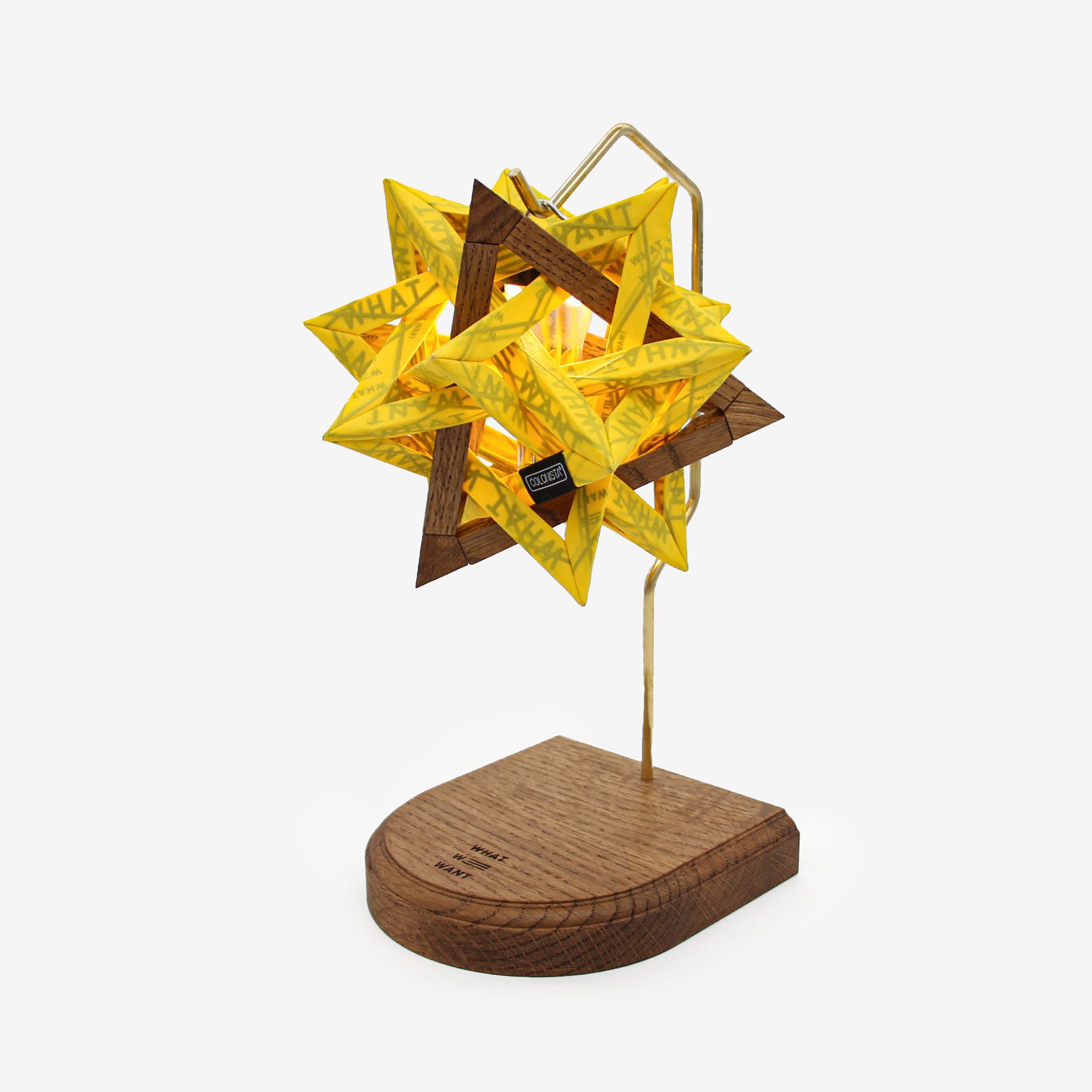 CONPE10_WWW（OAK/YELLOW） – WHAT WE WANT