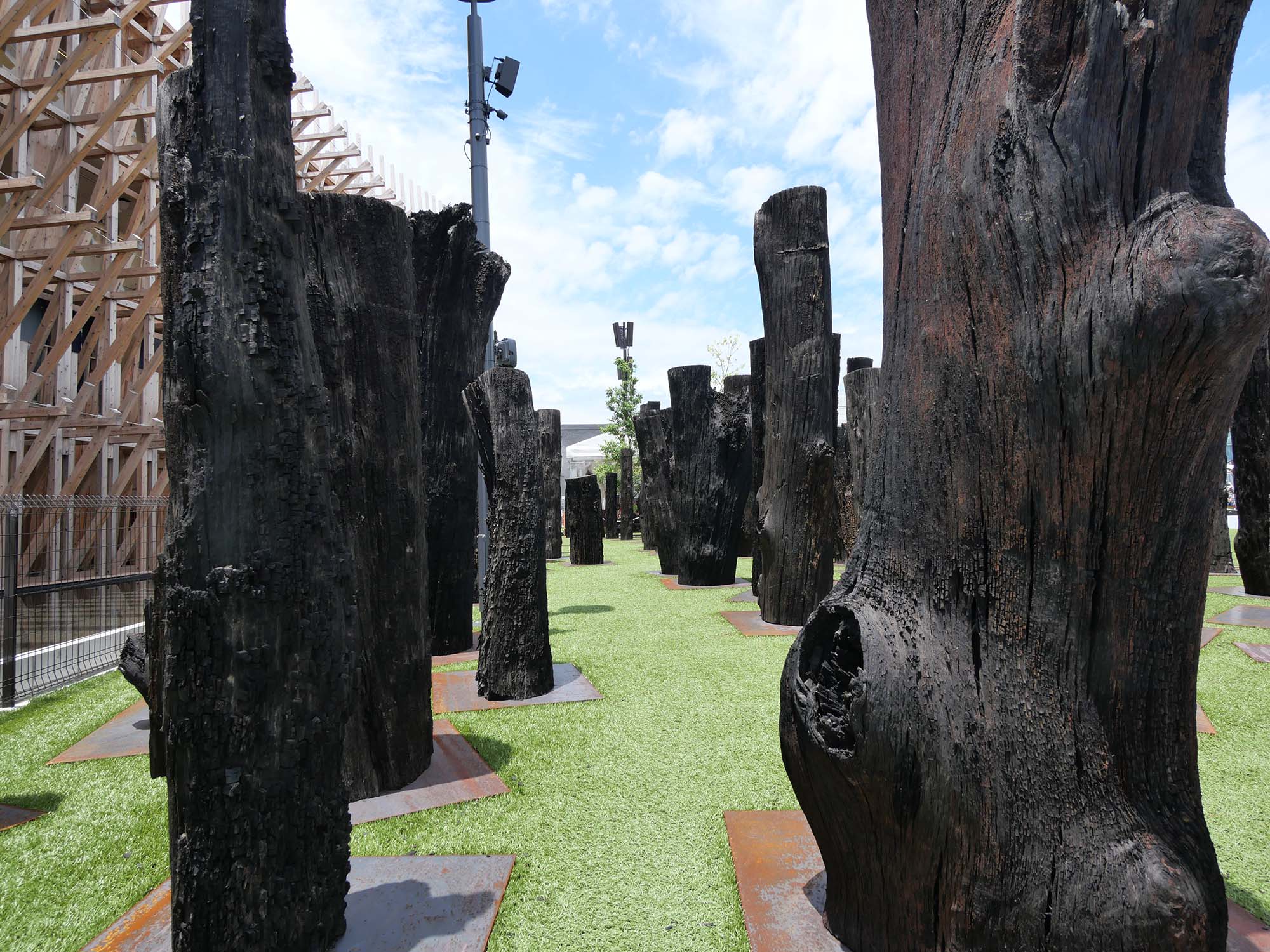 文明の森|2025年大阪・関西万博|日本万国博覧会と木のかかわり|12.木の