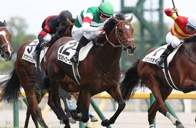香港国際競走4レースの馬券発売が決定、タスティエーラら参戦予定