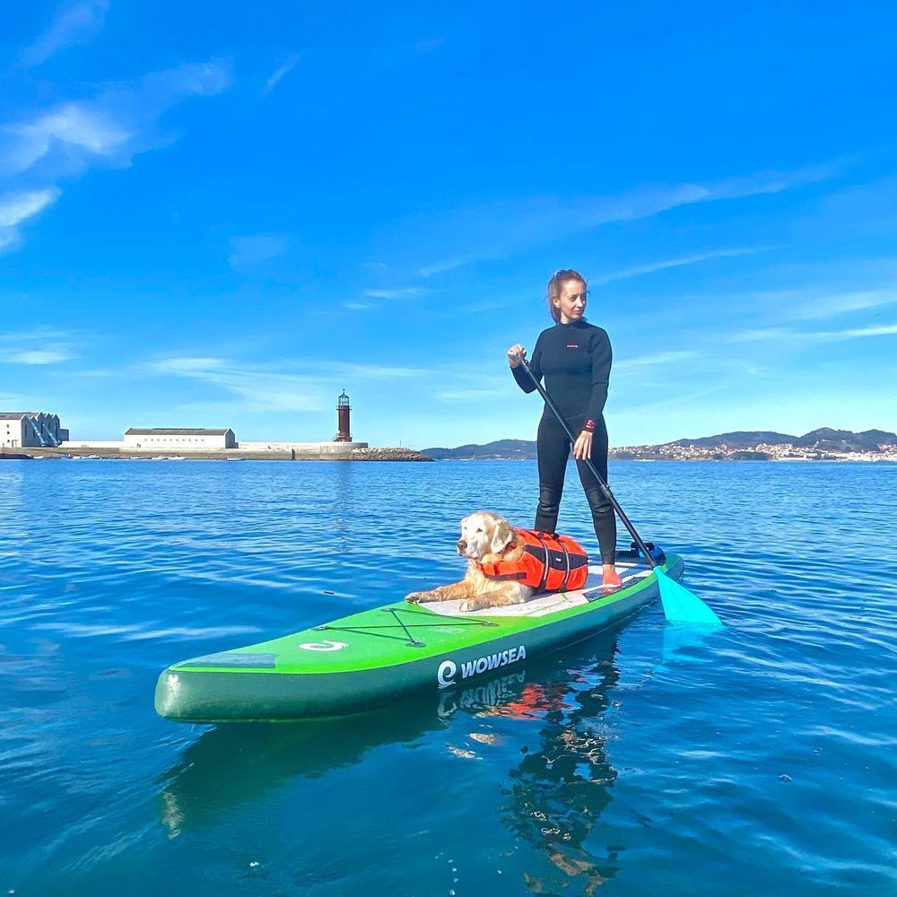 Flyfish F2 12'/366cm SUP Paddle Board Package | WOWSEA – WOWSEA SUP