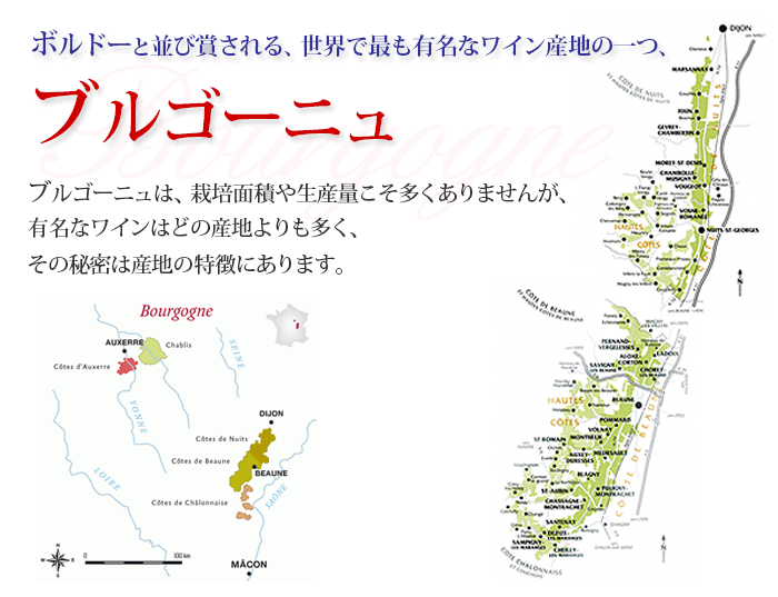 ブルゴーニュ赤3本セット 第30弾 赤ワインセット「1/13更新」 | ワイン
