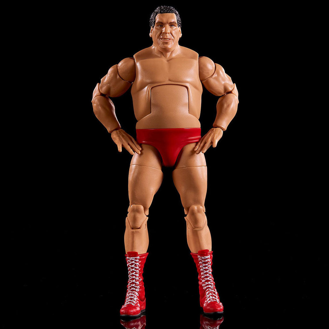 Andre The Giant WWE Legends Series #21 (Chase Variant) Action