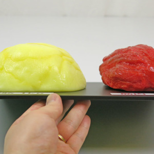 脂肪・筋肉模型，大きさ比較セット，1kg | 日本スリービー・サイエン